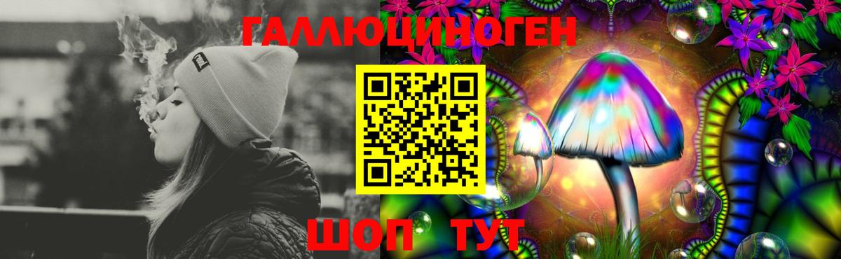 Галлюциногенные грибы ЛСД Северск